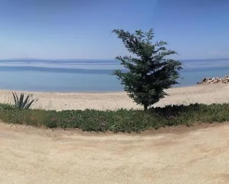 Daire Porto Almira Beachfront Nikiti (Sithonia)